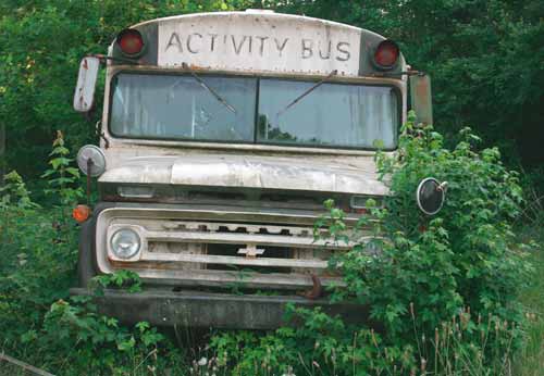 Activity Bus